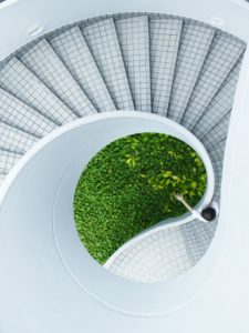 Abstract image