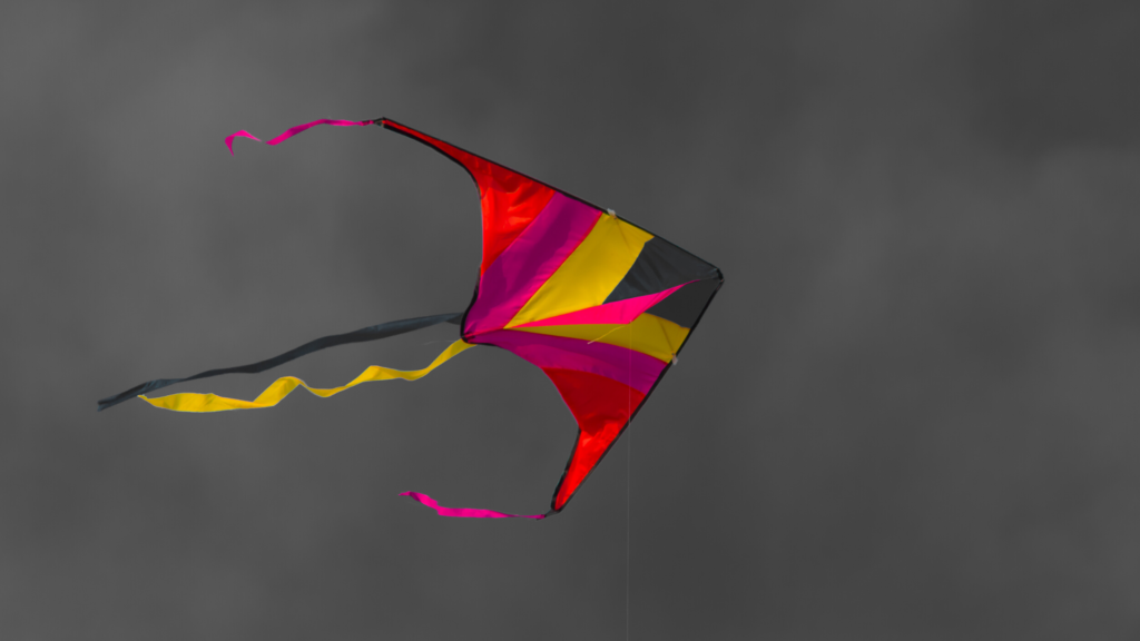 Kite