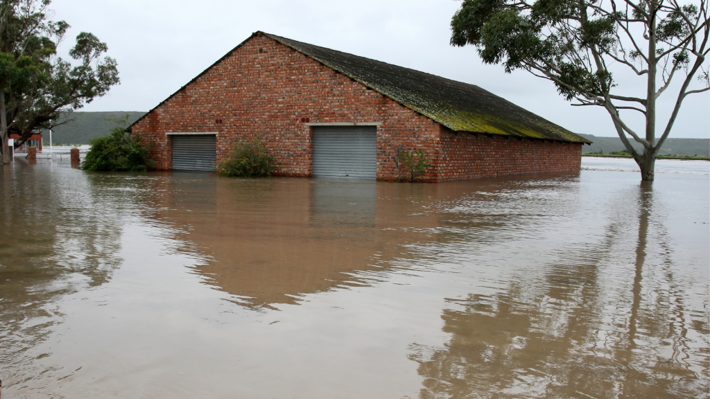 flood insurance